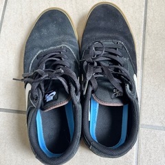 NIKE SB スケートシューズ　メンズ　27センチの画像