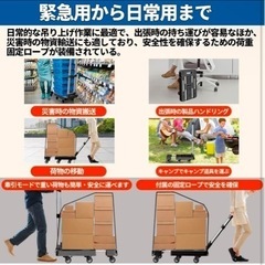 【取引完了】折りたたみ台車の画像