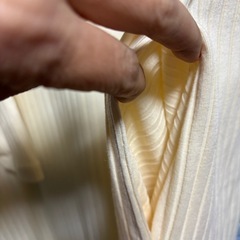 ワンピースの画像