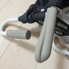 イングリッシーナ ファストの画像