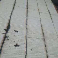 屋根塗装工事後『8年目の姿』❗️ - リフォーム