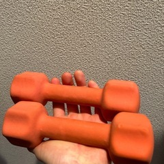 ダンベル2キロ【今週までで廃棄】