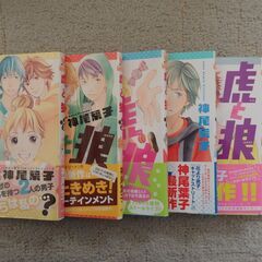 マンガ　虎と狼（神尾葉子）全６巻　帯付き、初版　物々交換ＯＫの画像