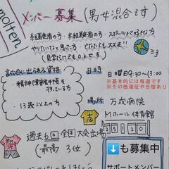 6人制男女混合ソフトバレー（精神障害者）