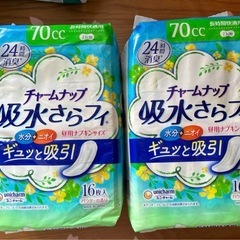 大人用尿もれパットの画像