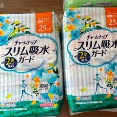 大人用尿もれパットの画像