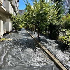 激安   タッチー便利屋 − 東京都