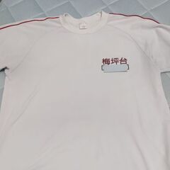 豊田市立梅坪台中学校  体操服  170センチ