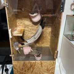 爬虫類、小動物好きの方と話がしたいです！！