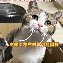 探してます【謝礼金あり】