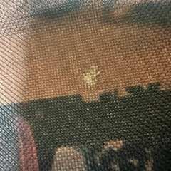 動物柄バッグ
の画像