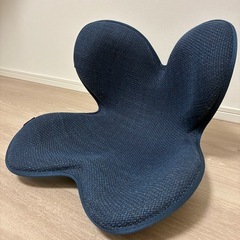 MTG正規品　骨盤サポートチェア