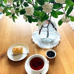 四月のレッスンのご案内の画像