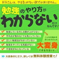 【大阪府大阪市】家庭教師のわっふる（株式会社HAKU）勉強が大っ...