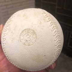 ソフトボール　　3号ボール、バットセットの画像