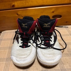 MIZUNO バドミントンシューズ