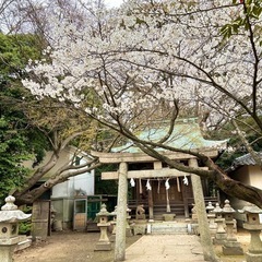 第2回 城下町フリマルシェ ご来場お待ちしております − 山口県