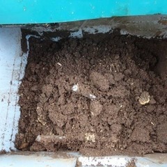 菌糸カス　畑土　腐葉土