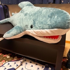 BIG サメぬいぐるみ！の画像