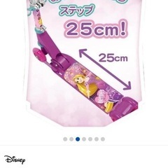 未開封 定価8999 スケーター の画像