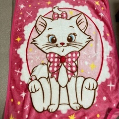 300円　96✖️43センチ　小さめ毛布