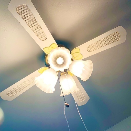 シーリングファンライト