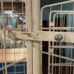 〓急:3/30(日)お渡し🙏〓カゴ台車×2台の画像