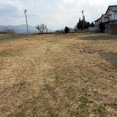 放置されてる草刈り - 手伝いたい/助けたい