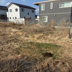 放置されてる草刈り - 塩尻市