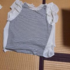 レディーストップス
