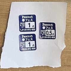 Pascoの春フェス 2.5点