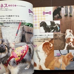 愛犬の服のハンドメイド本の画像