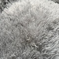 ペット用ベッドの画像
