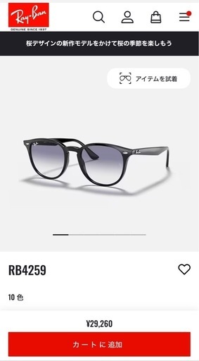 Ray-Ban RB4259 ブラック サングラス