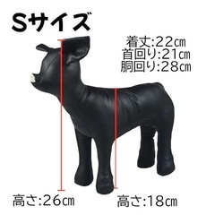 犬 マネキン トルソー 小型犬サイズ S