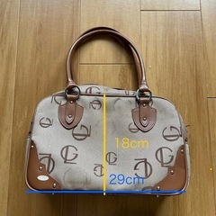 ☆Guy Laroche ギラロッシュ　ベージュ　ハンドバッグの画像