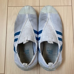 写真と同じ上履きを探しています。