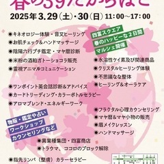 本日最終日四富マルシェ開催❤️