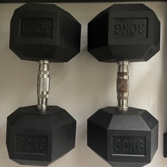 30kg ラバーコーティング　ダンベル2個セット