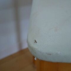 ダイニングチャア　白　２脚の画像