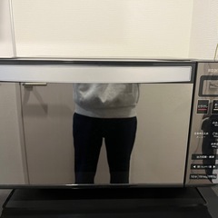 アイリスオーヤマ ミラーガラス 電子レンジ 18L フラットテー...