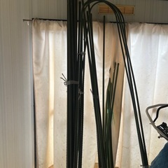 野菜作りに使う支柱やドーム！の画像