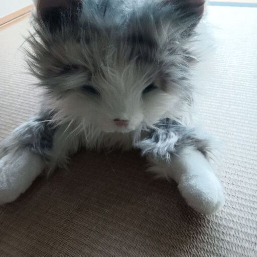 ロボットの猫