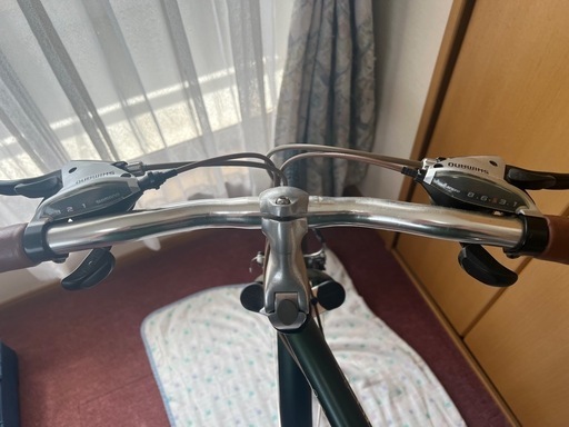 LOUIS GARNEAU(ルイガノ) TR-1 グリーン