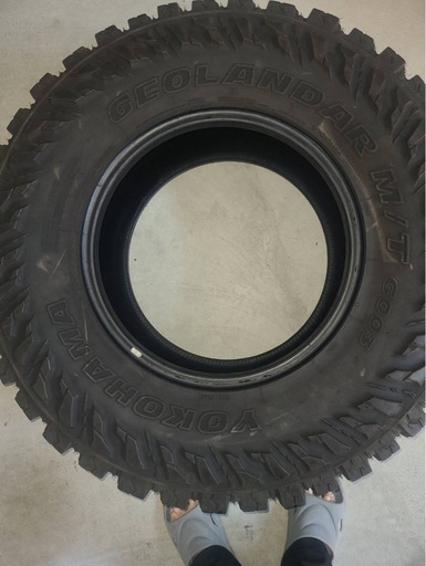 NO197　YOKOHAMAジオランダー