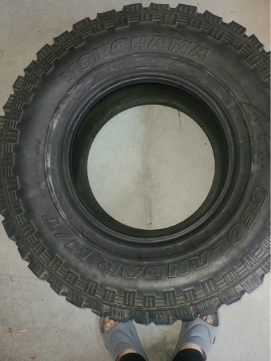 NO197　YOKOHAMAジオランダー