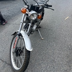 ホンダTL125S イーハトーブの画像