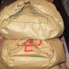 ③【６年産玄米６ｋｇ】コシヒカリ　６ｋｇ