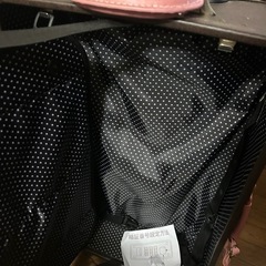 キャリーケース 　 アツキオオニシの画像