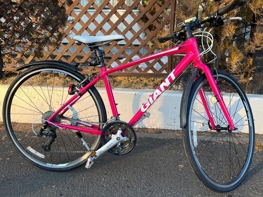 ⭐︎再値下げ！【美品！】GIANT escape RX3 限定カラー